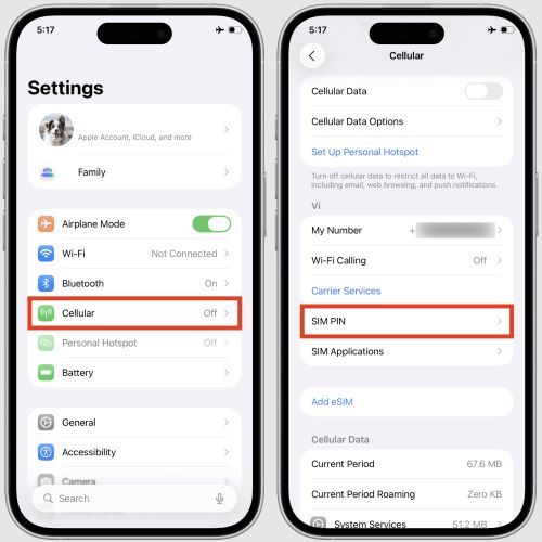 seleccionar PIN de la SIM | Encontrar o cambiar el PIN de la SIM en iPhone