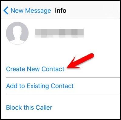 elegir Crear nuevo contacto | Eludir el PIN del iPhone