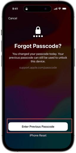 introduce la contraseña anterior | Eliminar código de acceso del iPhone sin saberlo