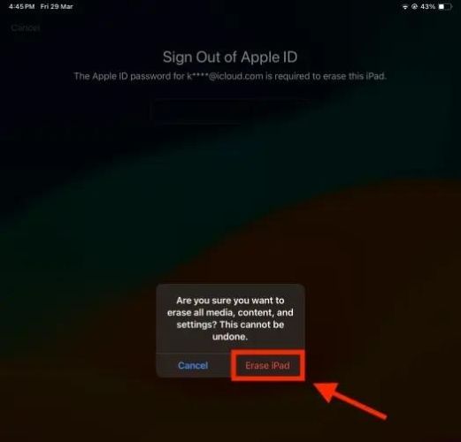 Introducir la contraseña de Apple ID | eliminar código de acceso de iPad 