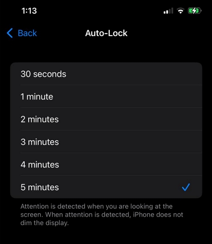 Opción Nunca ausente | Desactivar Auto-Lock iPhone