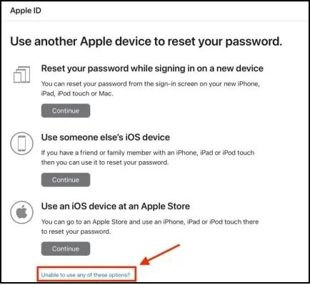 haz clic en No puedo usar ninguna de estas opciones | Desbloquear código de acceso del iPhone sin Apple ID
