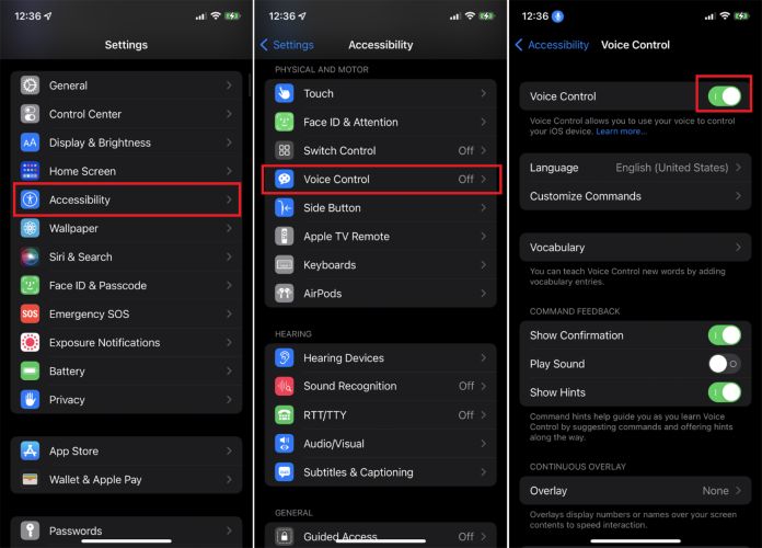 activar Control por Voz | desbloquear iPhone con pantalla rota