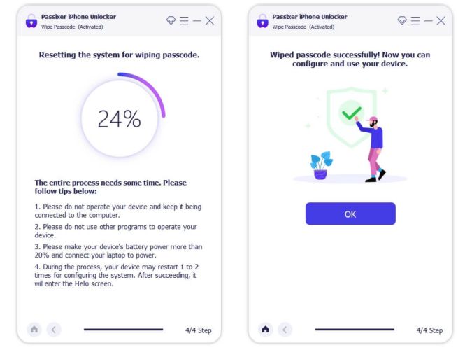 Borrar código con éxito | Desbloquear iPhone sin iTunes