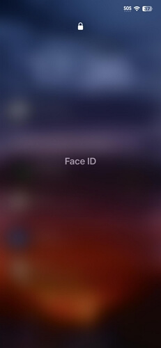 Hacer clic en Face ID | desbloquear Face ID mientras duermes